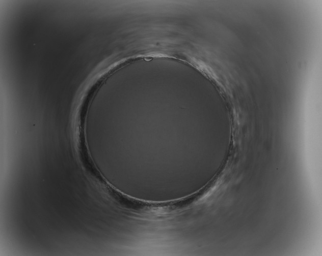 X0000089670295200707201645