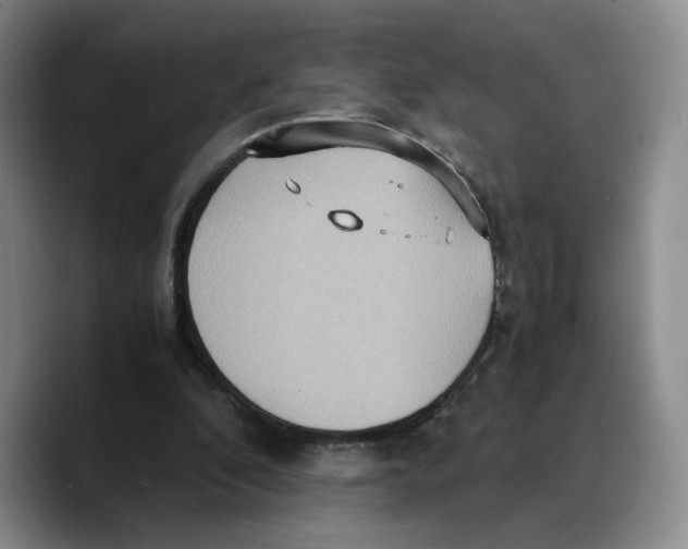X0000089670296200707201645