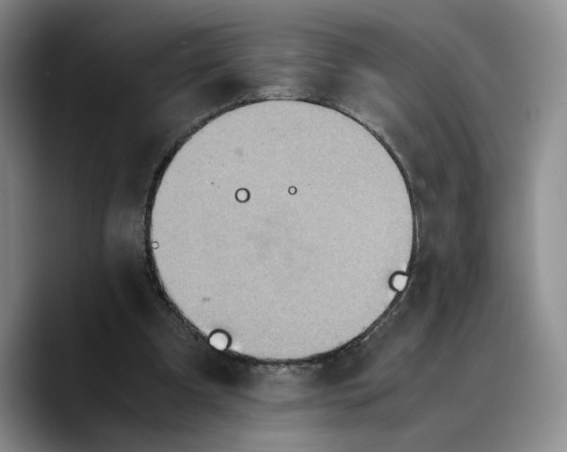 X0000089670297200707201645