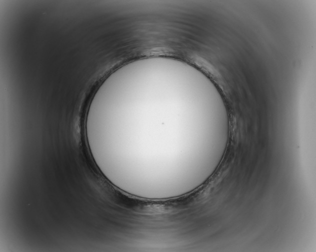 X0000089670298200707201645