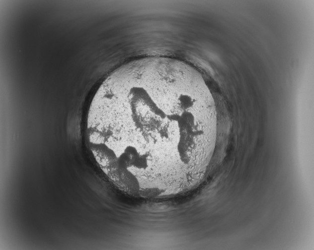 X0000089670299200707201645