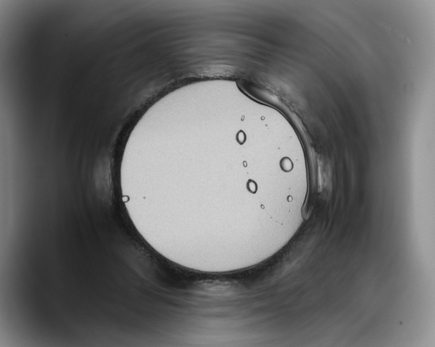 X0000089670300200707201645