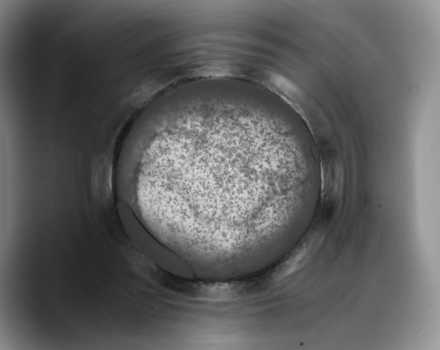 X0000089670301200707201645