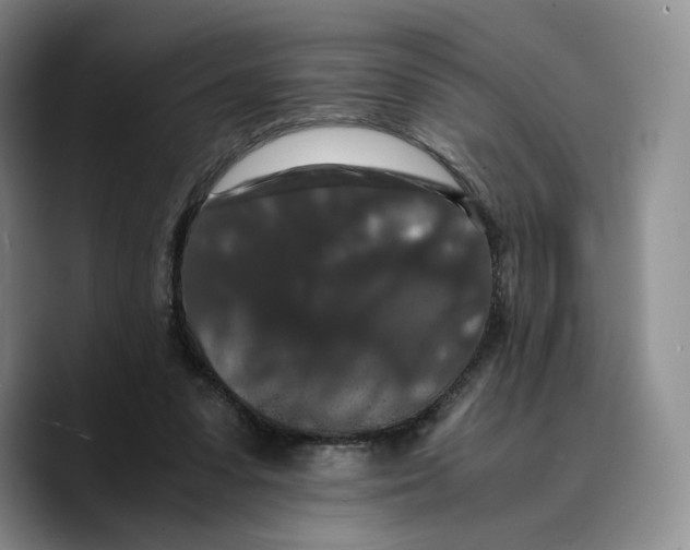 X0000089670303200707201645