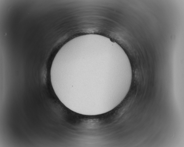 X0000089670304200707201645