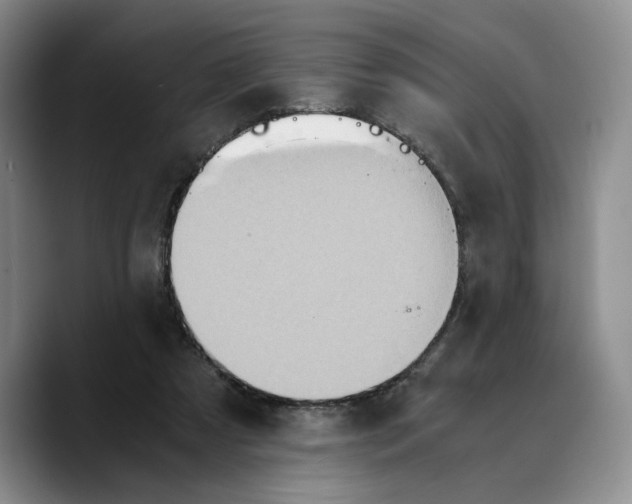 X0000089670305200707201645