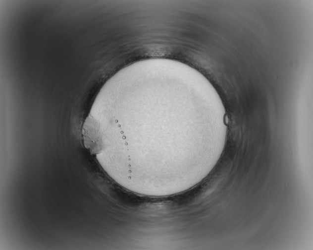 X0000089670307200707201644