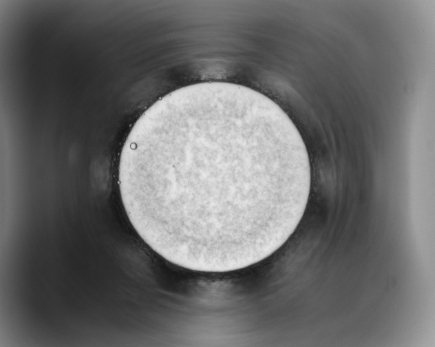 X0000089670311200707201644