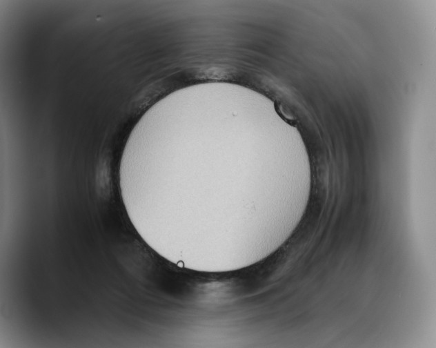 X0000089670312200707201644