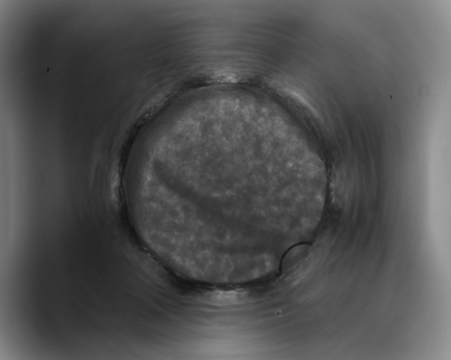 X0000089670314200707201644