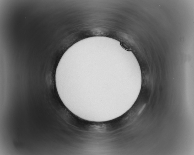 X0000089670317200707201644