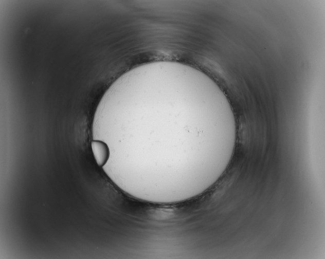 X0000089670318200707201644