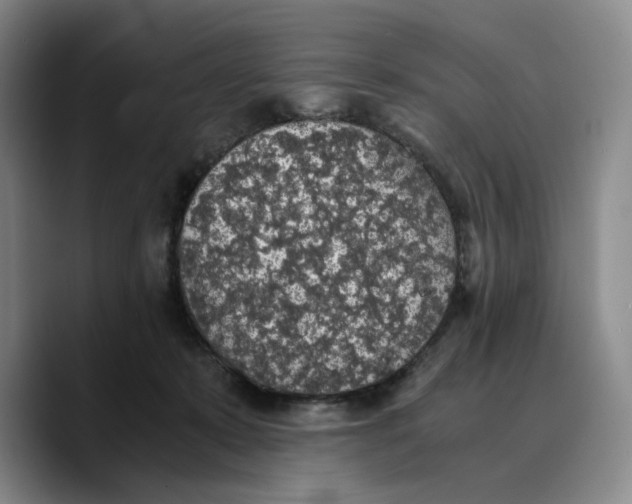 X0000089670319200707201644