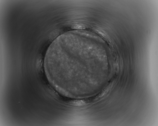 X0000089670322200707201644