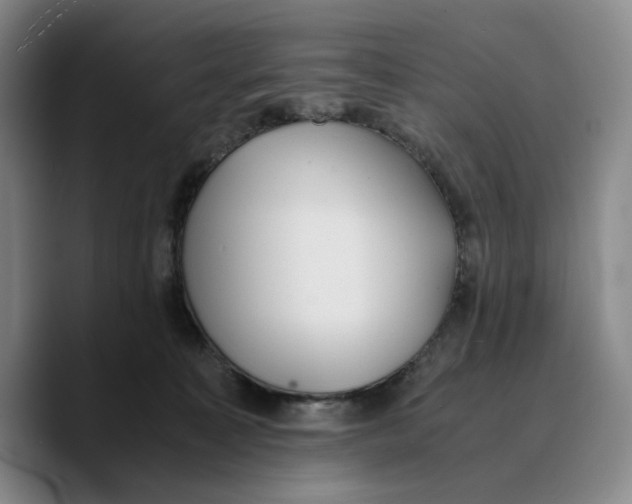 X0000089670323200707201644