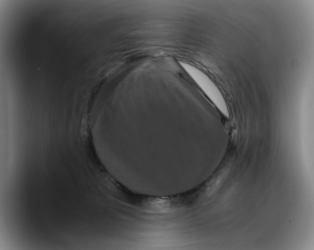 X0000089670325200707201644