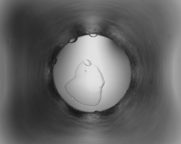 X0000089670327200707201644