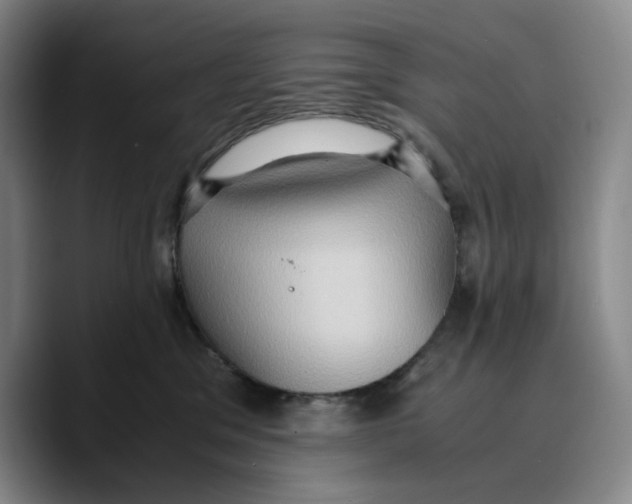 X0000089670329200707201644