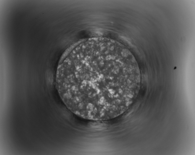 X0000089670331200707201644