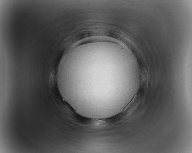 X0000089670333200707201644