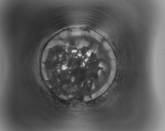 X0000089670337200707201643