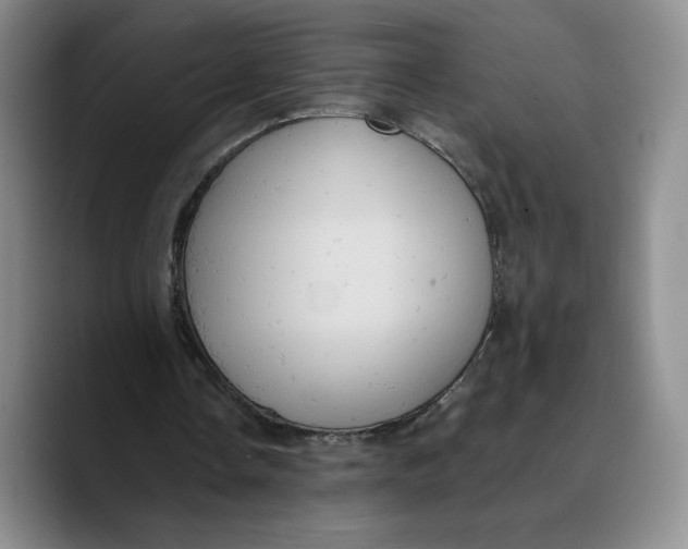X0000089670338200707201643
