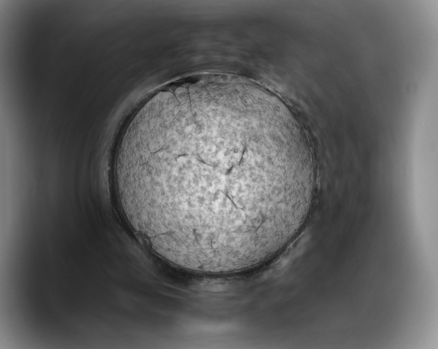X0000089670341200707201644