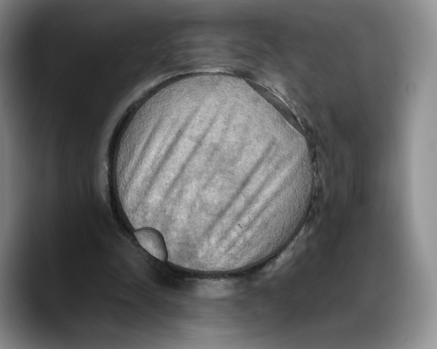 X0000089670342200707201644
