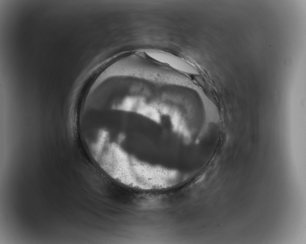 X0000089670343200707201644