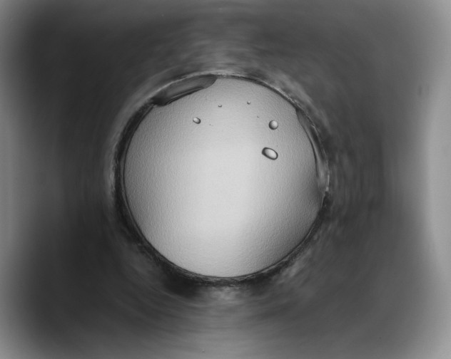 X0000089670344200707201644
