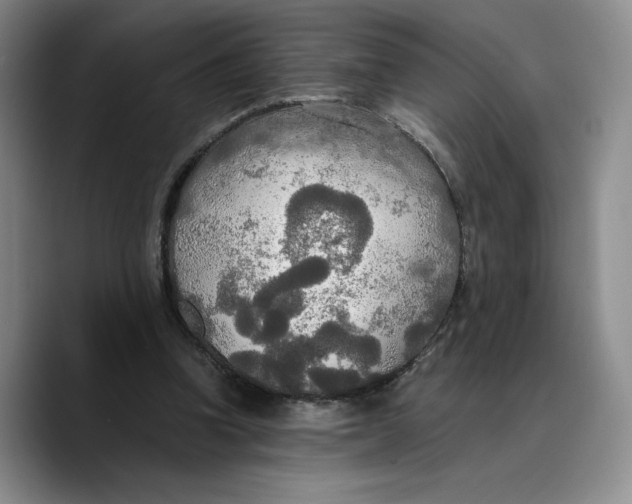X0000089670346200707201644