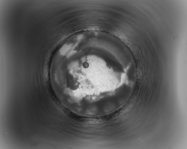 X0000089670347200707201644