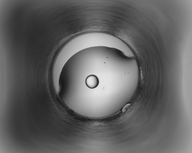 X0000089670348200707201644
