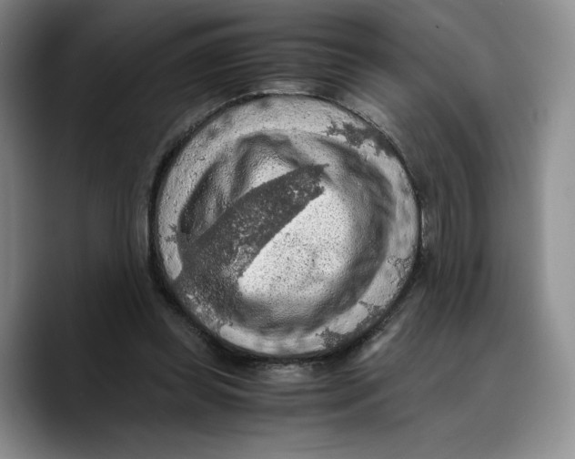X0000089670349200707201644