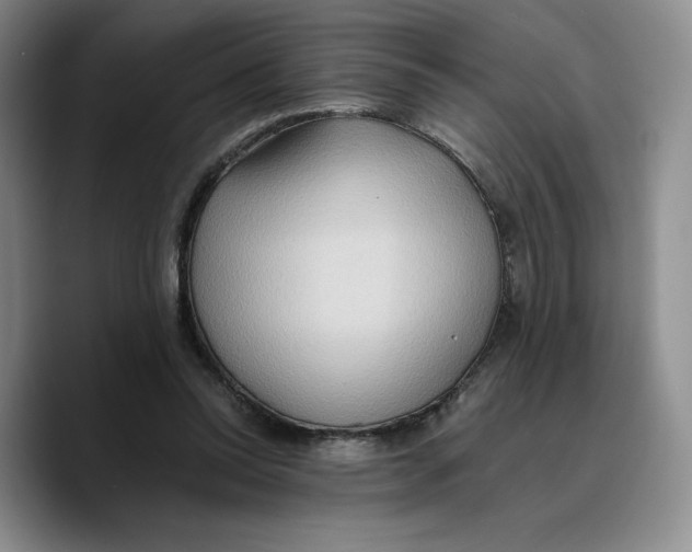 X0000089670350200707201644