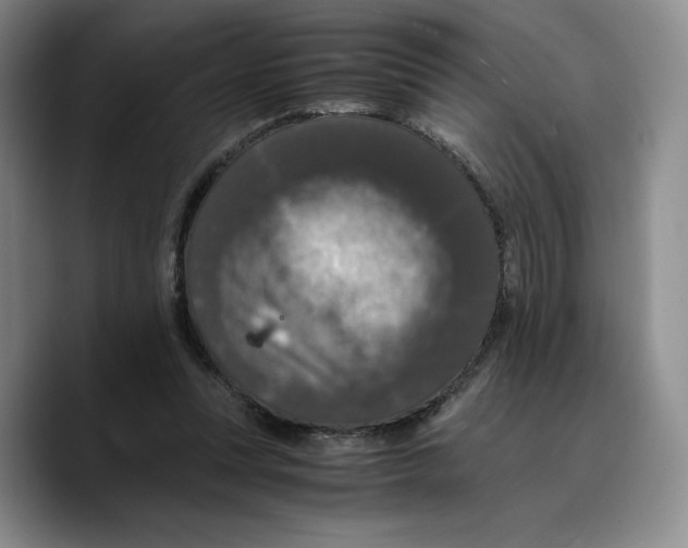X0000089670351200707201644