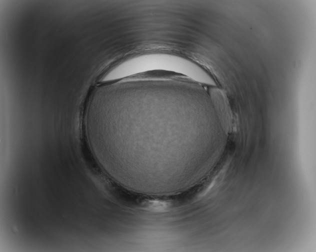 X0000089670352200707201644