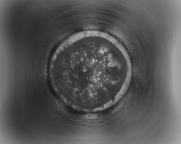 X0000089670353200707201644