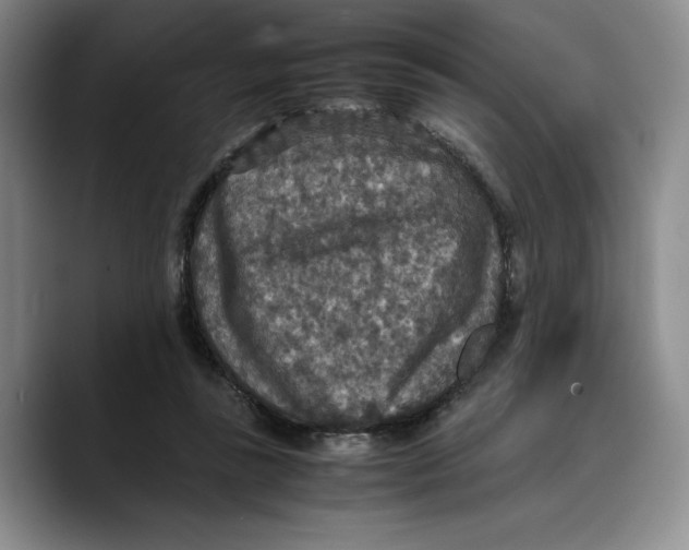 X0000089670355200707201644