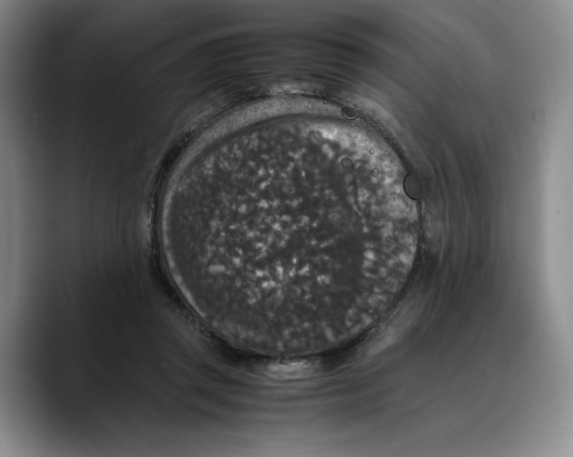 X0000089670357200707201644