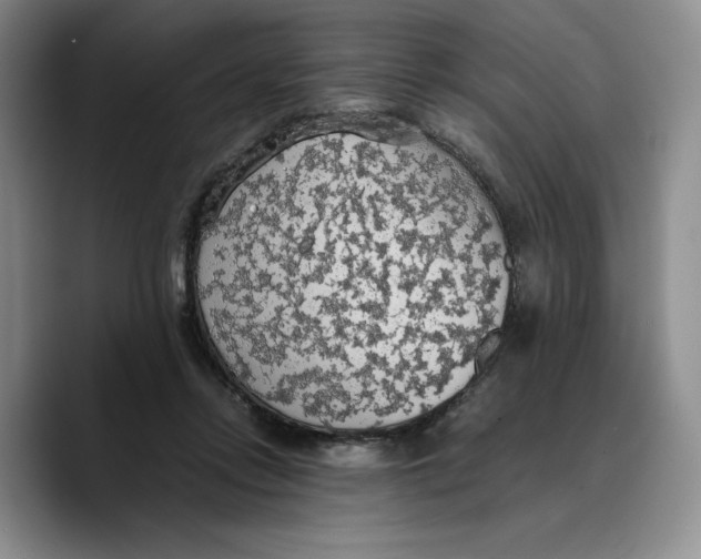 X0000089670358200707201644