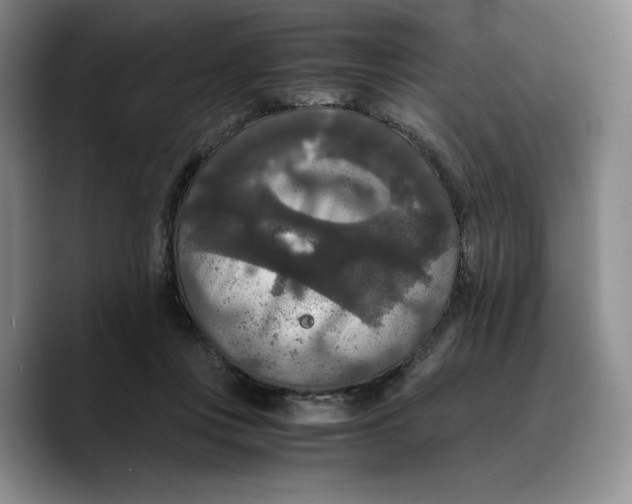 X0000089670359200707201644