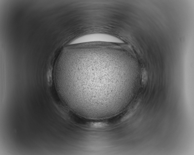 X0000089670360200707201644