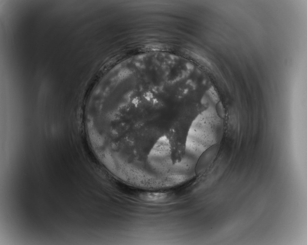 X0000089670361200707201644