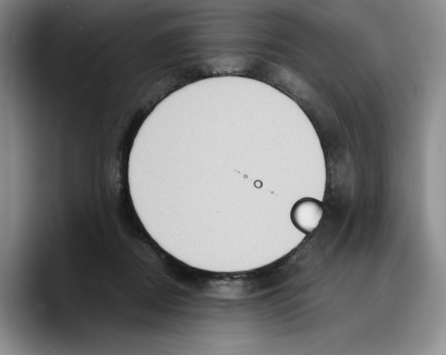 X0000089670362200707201644