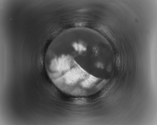 X0000089670363200707201644