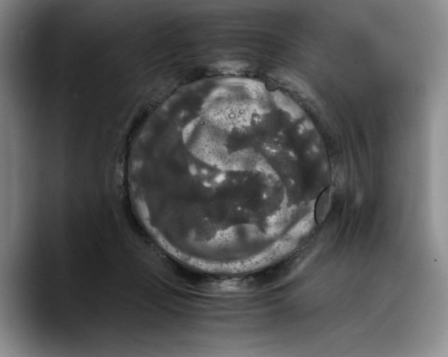 X0000089670365200707201644