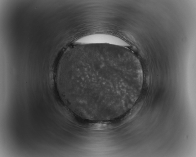 X0000089670366200707201644