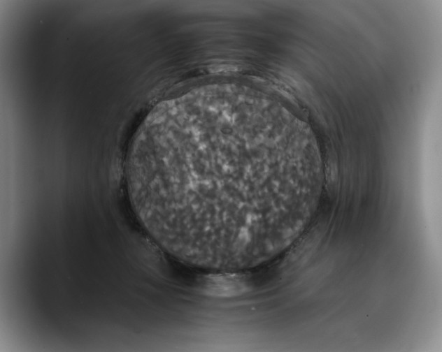 X0000089670367200707201644