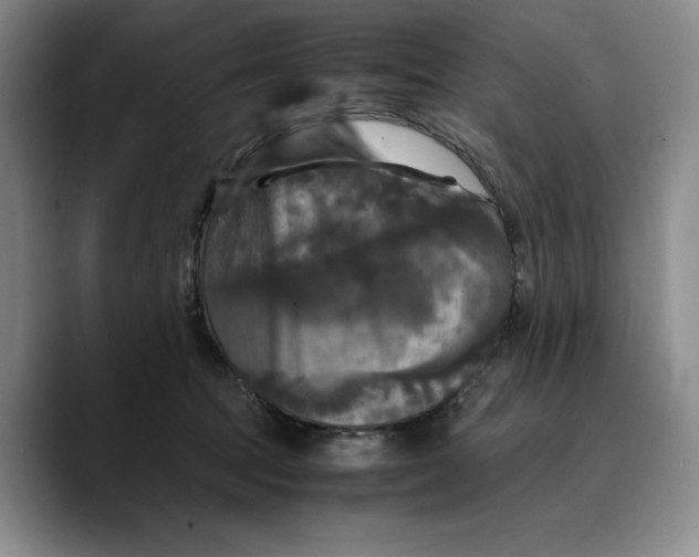 X0000089670369200707201644